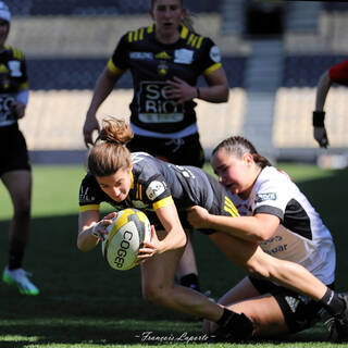 31/03/2024 - Elite 2 - Stade Rochelais 81 / 07 Brive