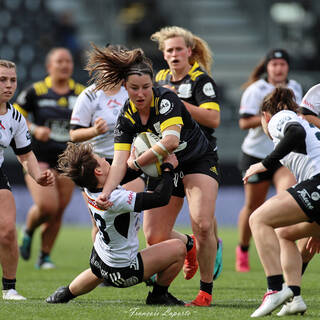 31/03/2024 - Elite 2 - Stade Rochelais 81 / 07 Brive