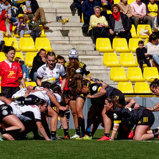 31/03/2024 - Elite 2 - Stade Rochelais 81 / 07 Brive