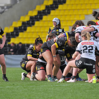 31/03/2024 - Elite 2 - Stade Rochelais 81 / 07 Brive