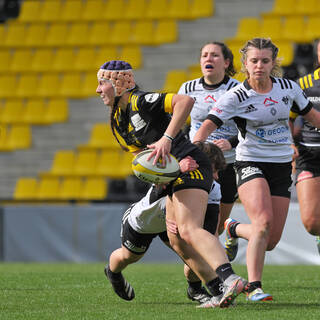 31/03/2024 - Elite 2 - Stade Rochelais 81 / 07 Brive