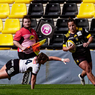 31/03/2024 - Elite 2 - Stade Rochelais 81 / 07 Brive