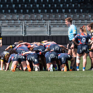 31/03/2024 - Fédérale 2 - Stade Rochelais 45 / 15 Limoges