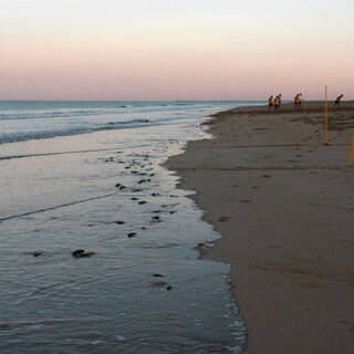 Entraînement Île de Ré - Juillet 2014