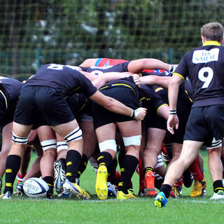 Espoirs - La Rochelle 39 - 14 Grenoble