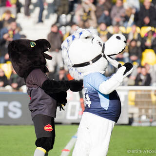 J12 - 02/12/2017 - Stade Rochelais 26 / 14 Montpellier