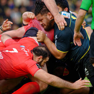 TOP 14 J16 : STADE ROCHELAIS 19-14 TOULON