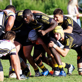 05/10 - Espoirs - J4 - Stade Rochelais 39 / 7 Mont-de-Marsan