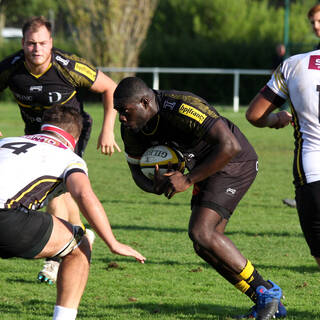 05/10 - Espoirs - J4 - Stade Rochelais 39 / 7 Mont-de-Marsan