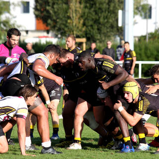 05/10 - Espoirs - J4 - Stade Rochelais 39 / 7 Mont-de-Marsan