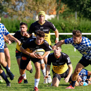 12/10/2019 - Crabos - J1 - Stade Rochelais 19 / 9 Bordeaux-Bègles