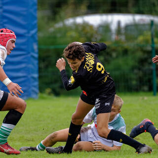 19/10/2019 - Cadets Alamercery - J1 - Stade Rochelais 25 / 0 Pau