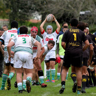 19/10/2019 - Cadets Alamercery - J1 - Stade Rochelais 25 / 0 Pau