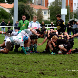 19/10/2019 - Cadets Alamercery - J1 - Stade Rochelais 25 / 0 Pau