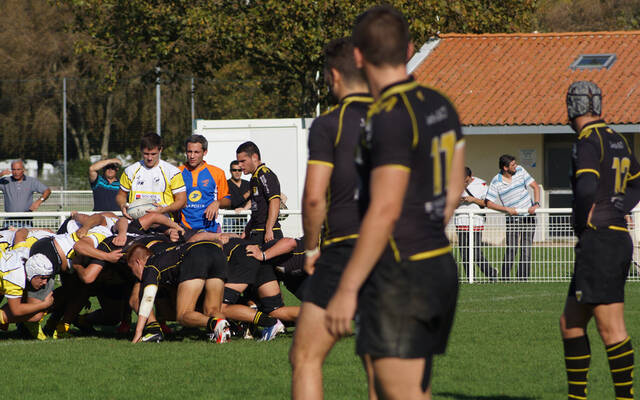 Focus sur les Crabos du Stade Rochelais