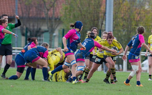 Week-end chargé pour les équipes du Stade Rochelais ! 