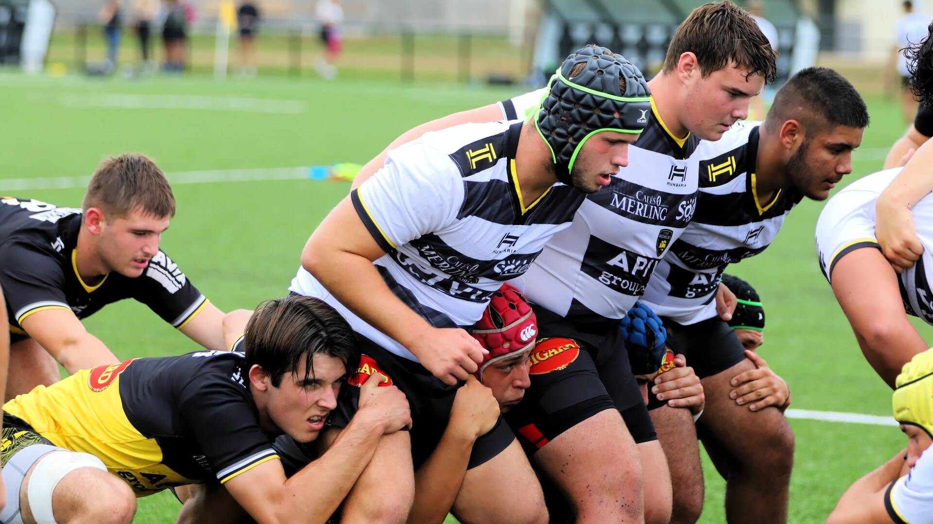 Crabos Stade Rochelais - saison 2020/2021