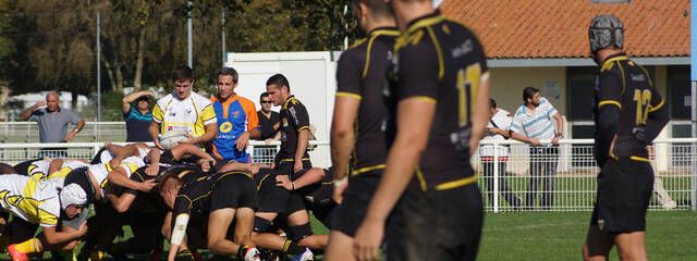 Focus sur les Crabos du Stade Rochelais