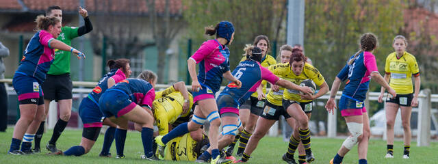 Week-end chargé pour les équipes du Stade Rochelais ! 